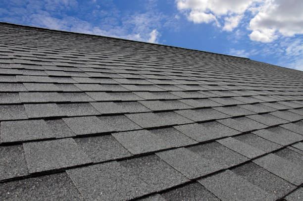 Best 4 Ply Roofing  in Cadillac, MI